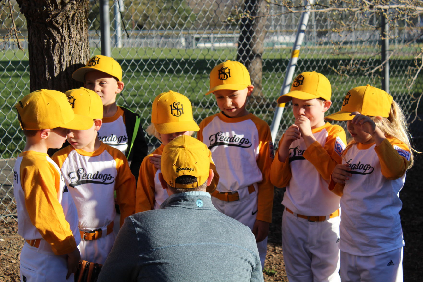St. Helena Little League